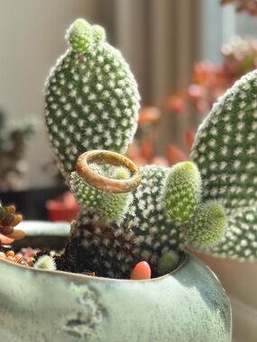 Boho Pink & Green Ring Marbled Mutlicolor